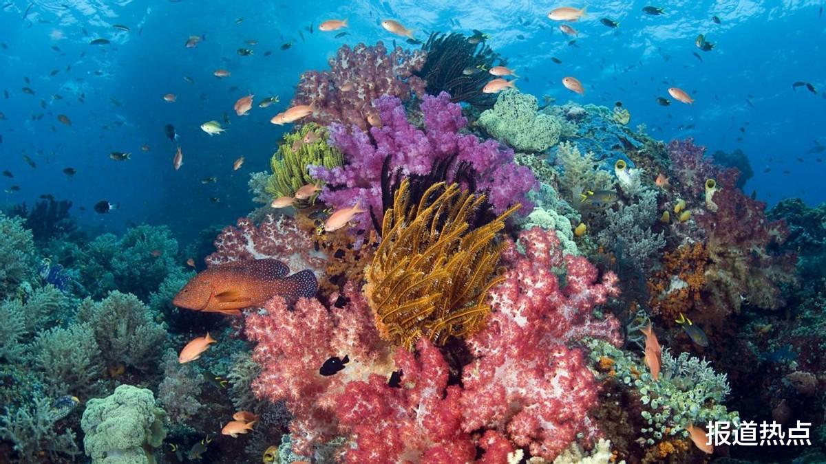 白色污染 地球最深处也难以幸免！惊奇现象再度出现，人类将何去何从？