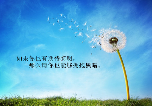 期货交易心理分析与对策之进入市场原罪(二)渴望自由的生活