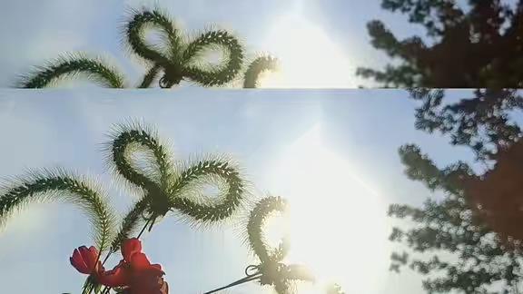 小飞侠熙熙 生活很好，记得微笑！