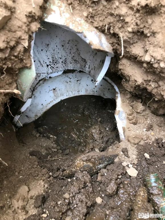 甲鱼|野钓都有哪些惊喜？大部分是送菜，还有捡首饰发家致富的