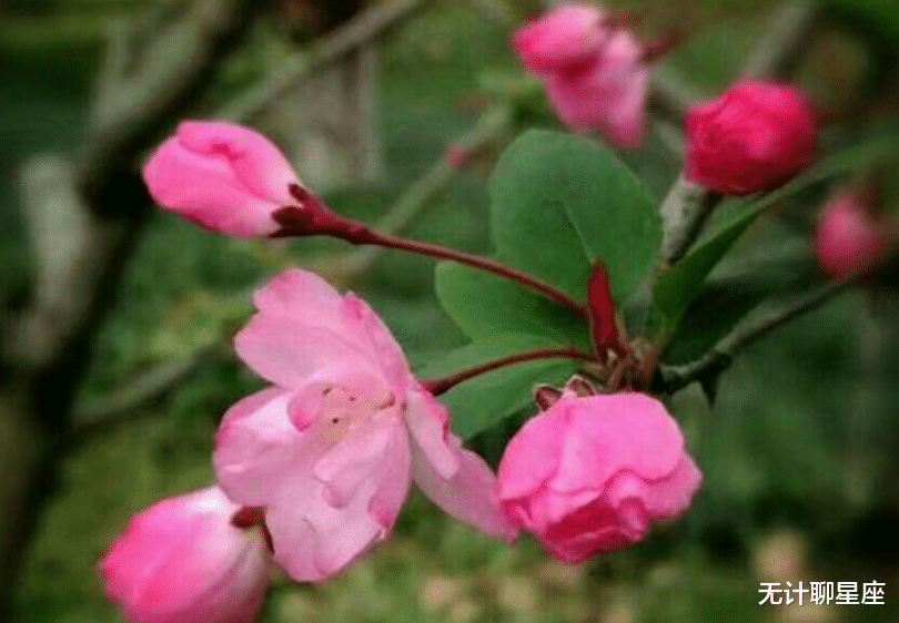 |三十之后，让人刮目相看的4个星座，面对任何困难，都能迎刃而过