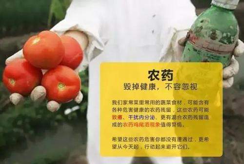 长寿|癌症,猝死年轻化,50多岁因病去世成常态,告诉你咋回事