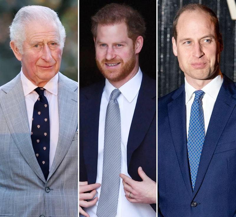 英国王位继承人撰文,向哈里王子伸出橄榄枝,为他感到骄傲