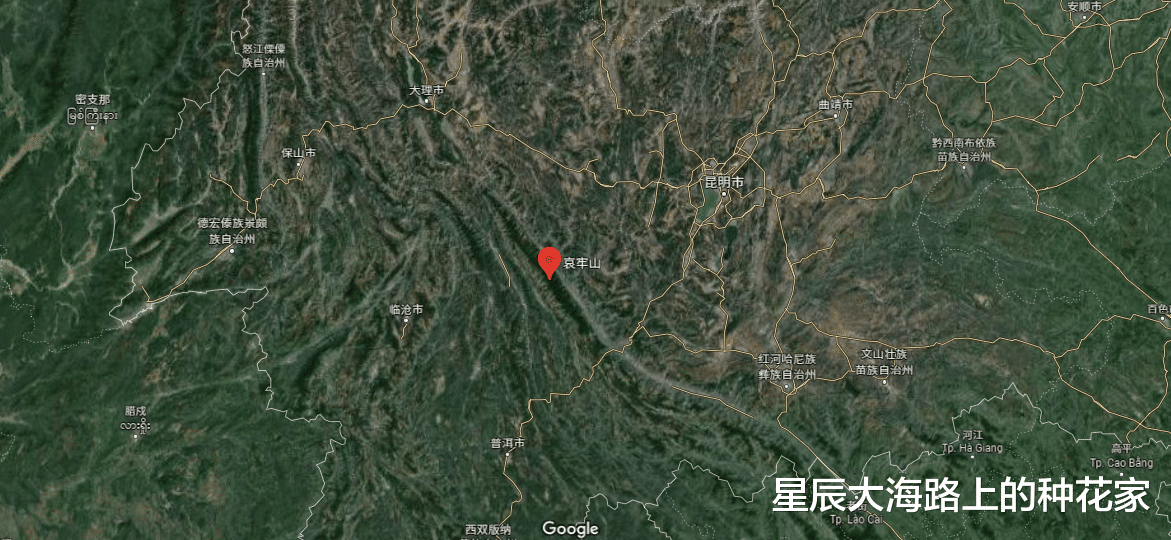 雷击还是失温？砍刀、汽油、羽绒服齐备，地质队员是如何遇难的？