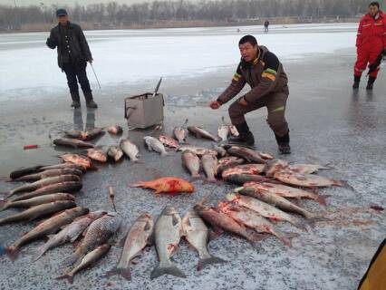 |弄明白什么是锚鱼，什么是钓鱼，就不用担心是不是违规钓鱼了