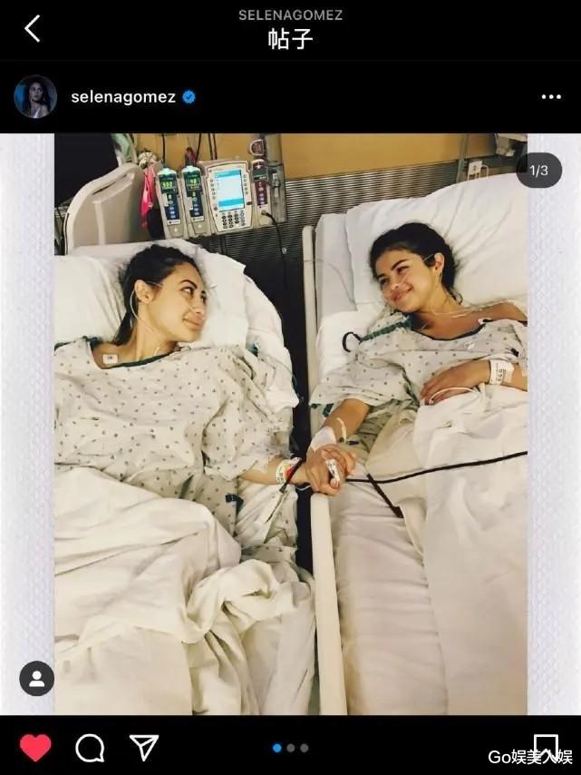 芒果台|芒果台再翻车！继P遗照后，再拿素人证件照P秃头，当事人愤然维权