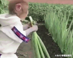 学姐说育儿|“早上在公园发现的,这里是不是发生了大战啊?”哈哈哈!