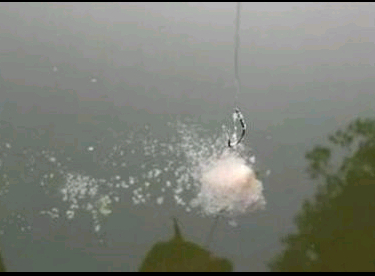 饵料|钓鱼饵料 深度知识 钓鱼人必备