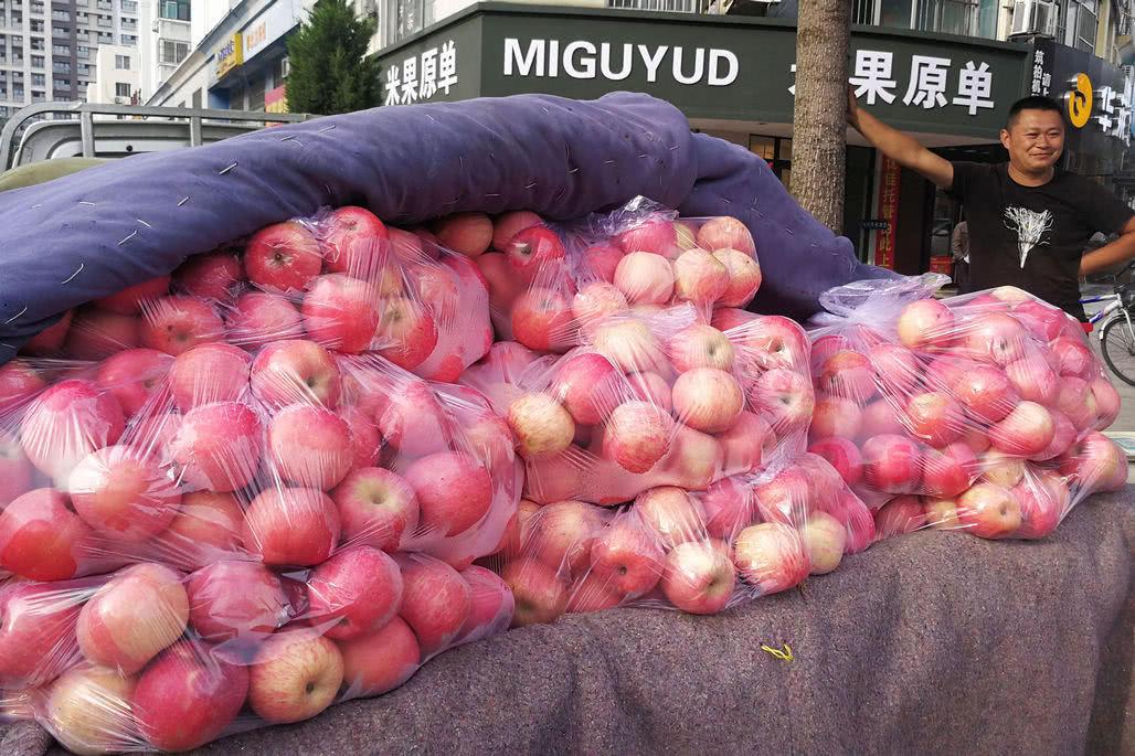 大炮说三农 一斤亏8毛，价格低到想不到，当季即将丰收，囤货商大亏