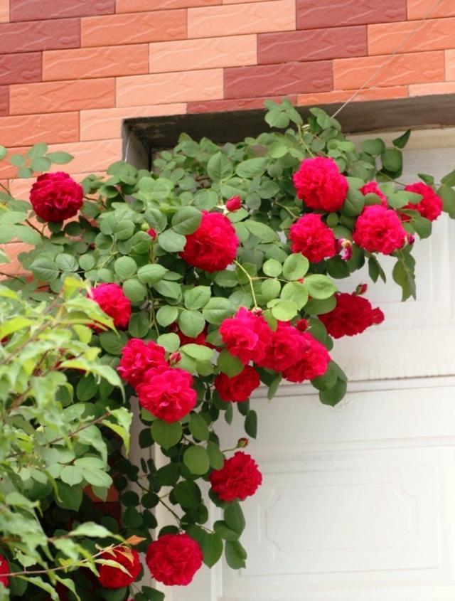 |正能量震撼人心的句子，句句蕴含深意，让人深思