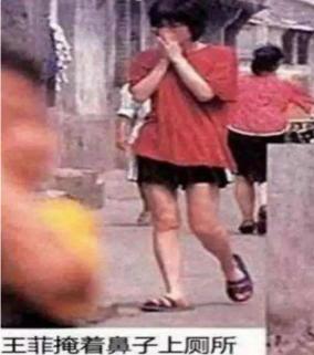 王菲|王菲和谢霆锋，这次可能真的结束了