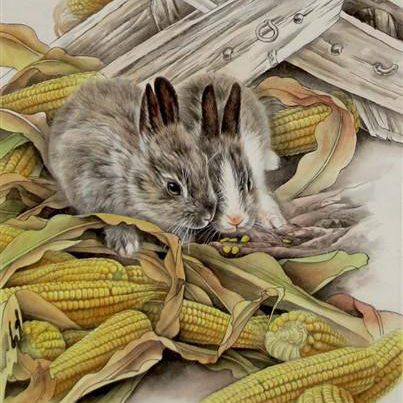 星座风水算命馆 十二生肖中，啥属相11月财运不差，贵人运好，锦鲤翻身，赚钱丰厚