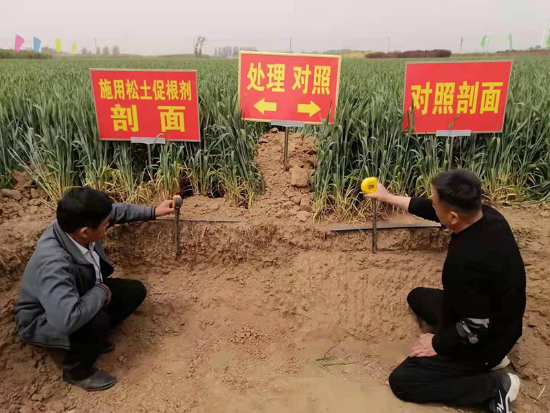 朱鹏妃 努力提升耕地质量，关乎作物多产粮、产好粮