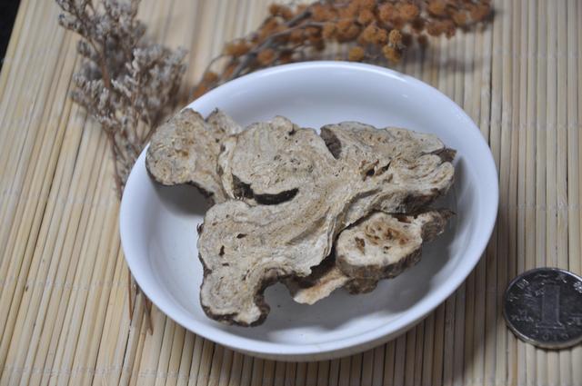 白术|脾胃虚弱百病生，健脾强胃有没有良药？名医龚廷贤：可用这味中药
