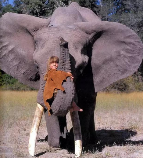 章鱼 一段奇特的“人兽恋”攫取了很多人的眼球