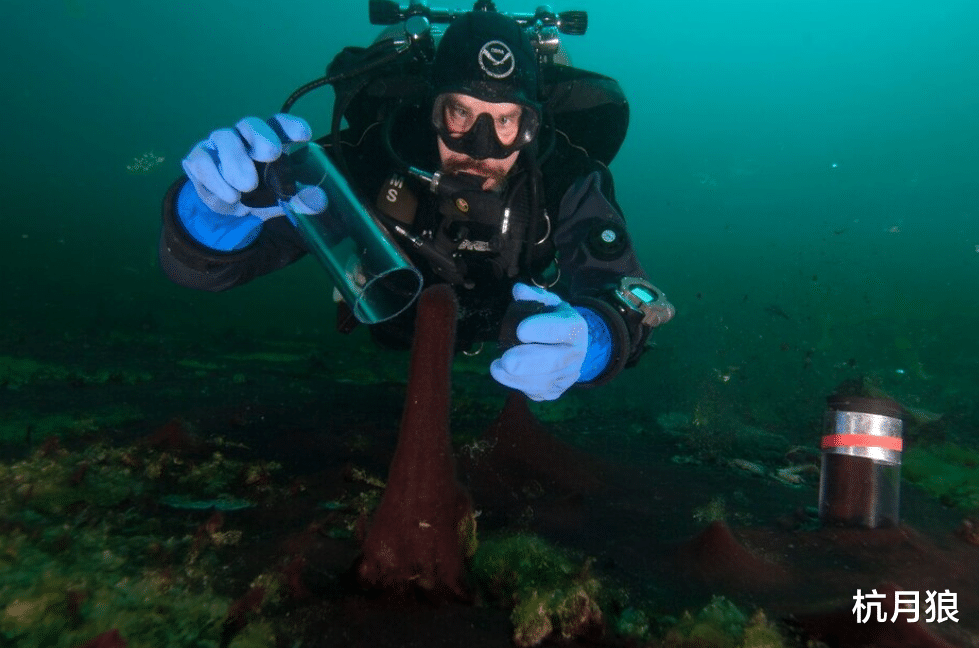  20多亿年前地球氧气剧增之谜，是因为一天变长了？惊人的新说