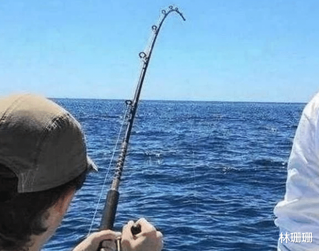 |几个男子出海钓鱼，钓了一条从未见过的“怪鱼”，后来把它放了