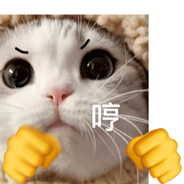 桉月|表情包：动物打拳GIF搞笑表情