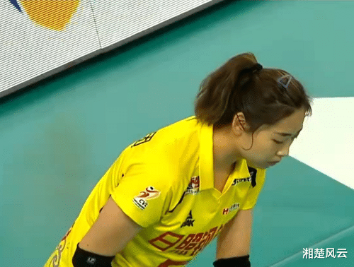 龚翔宇|辽宁女排3-0胜山东队，队员疯狂庆祝，赵勇差点被球砸中反而笑了