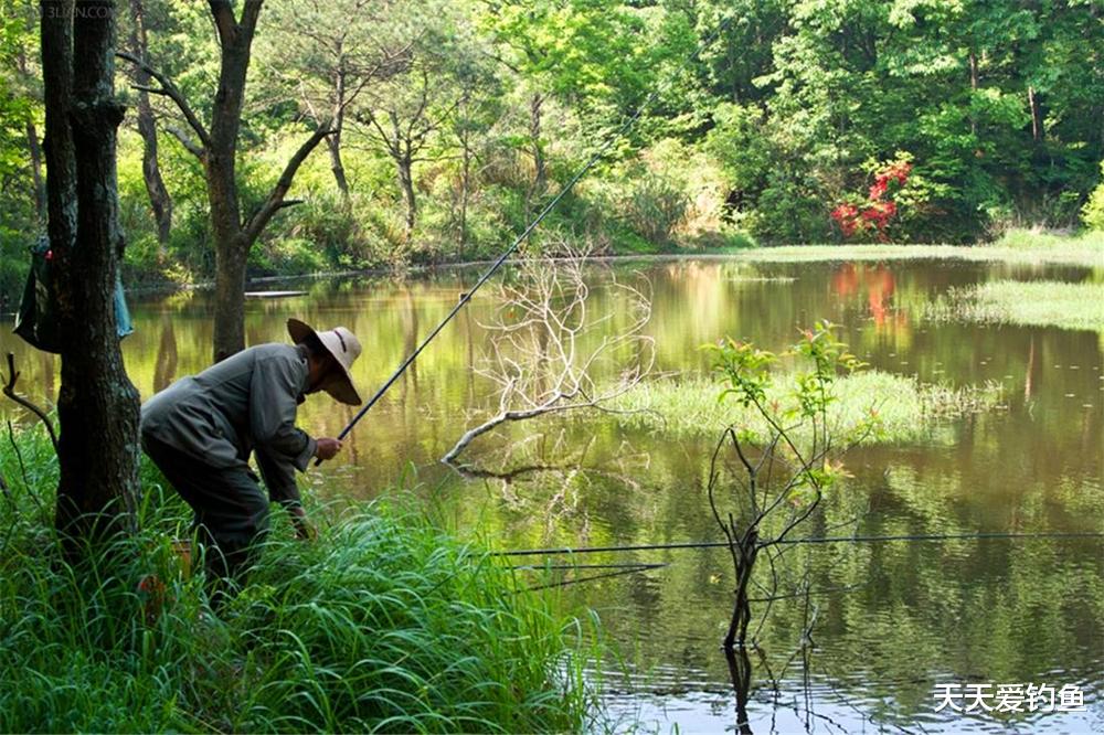 聊聊|夏季钓深，秋季钓阴（荫），聊聊秋钓阴，这才是秋季钓鱼的精髓！