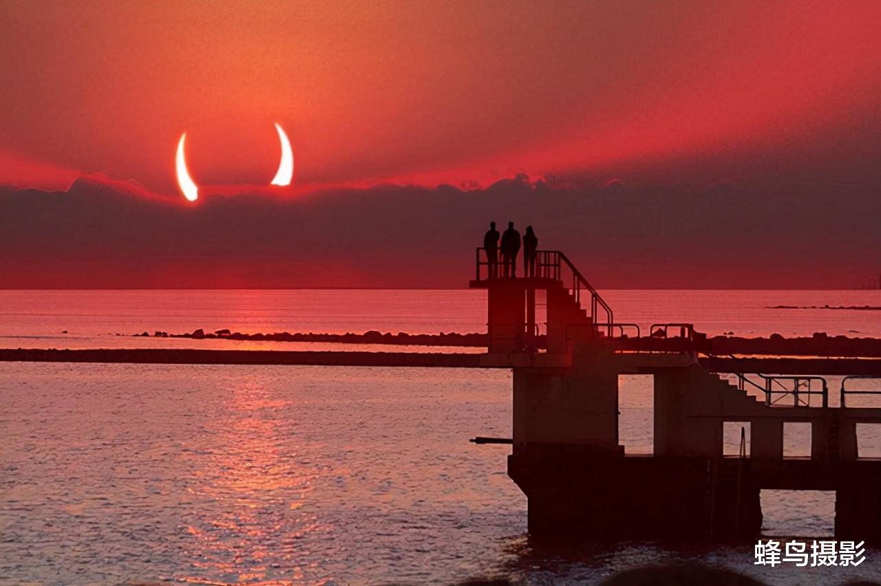  30张活久未见的照片，鲤鱼跃出水面吃树上的水果，这是要进化啊