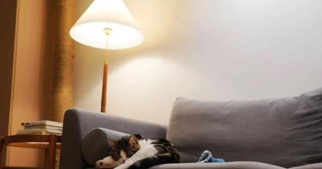 混搭|80㎡混搭风三居室，清新的绿色与优雅的胡桃木搭配，温馨又治愈