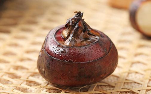 爱吃醋的小蓝孩儿|湿气重的人可以吃马蹄吗 马蹄吃了会胖吗