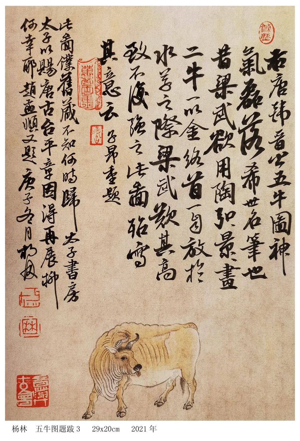 五牛图|牛年画牛！画家杨林对画韩滉《五牛图》