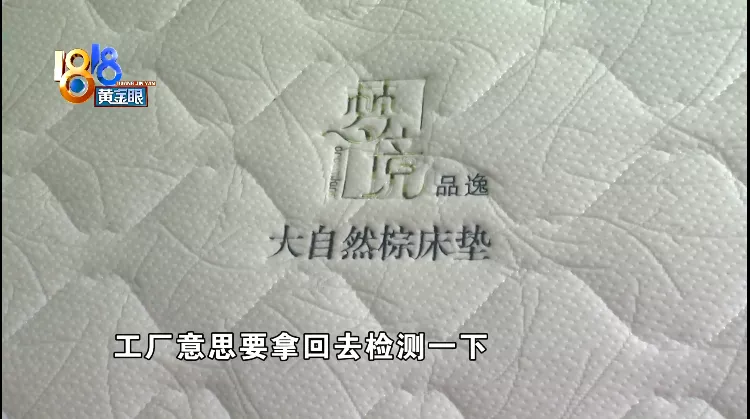 淄博|“大自然”换过床垫，再次发现小黑点