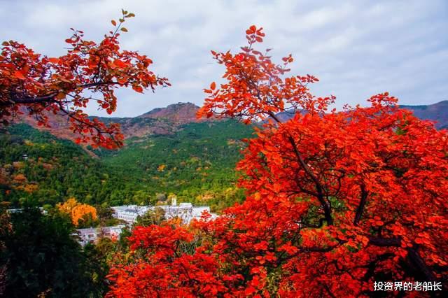 网购 投资老船长：10.17金秋十月，收获的季节—本周的交易记录与心得