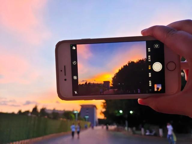 西南林业大学|西南林业大学，竟是如此藏龙卧虎