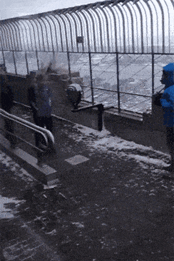 王力宏|王力宏回应与娃哈哈解约：你说话的方式，暴露了你的层次