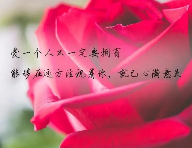 嗨咯情感说 今生爱过你，错过你，都是最好的安排