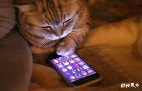 睡觉时手机放多远没辐射?终于有答案了