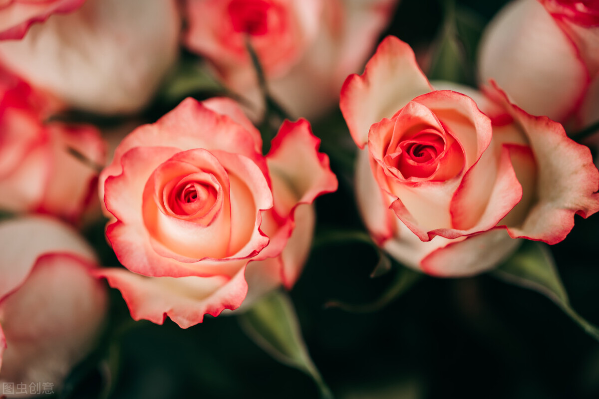 狮子座恋爱 天蝎座吃醋时的表现！