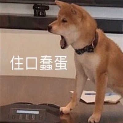 桉月|表情包：心情乱七芭蕉的