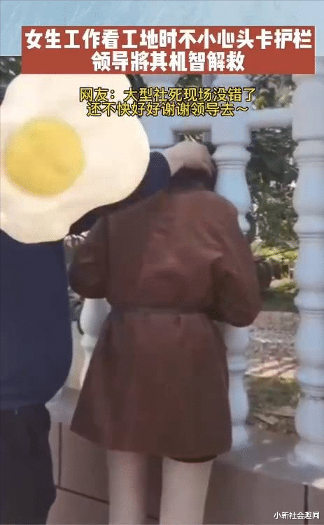 一女子透过栅栏看工地,不小心卡住了头,被领导质问:你在干嘛