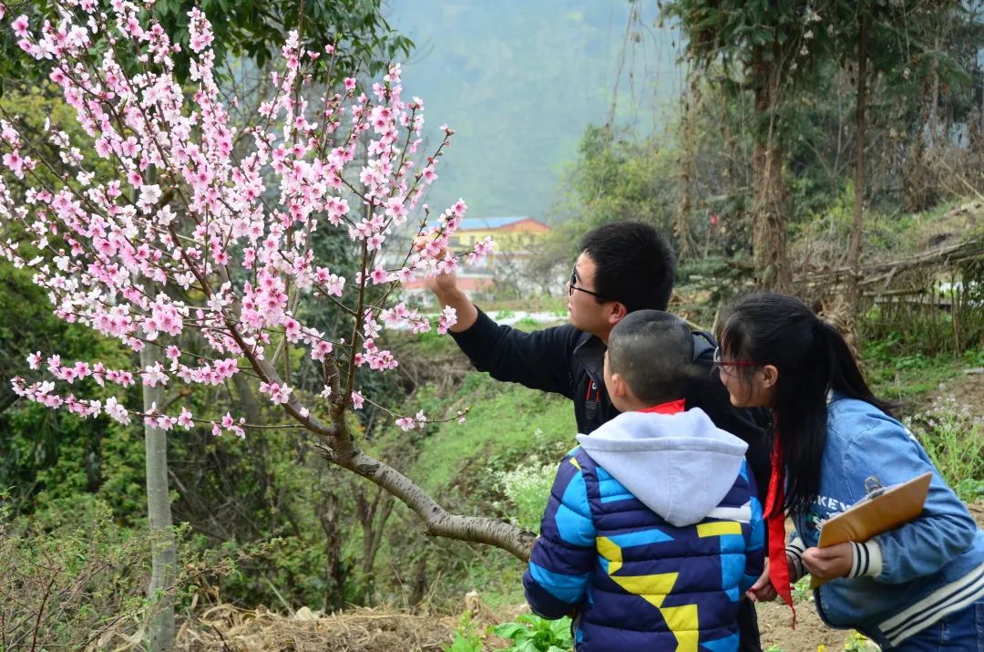 成都快报 绿色成为4084平方公里最亮的底色，汶川保生态也是保民生！