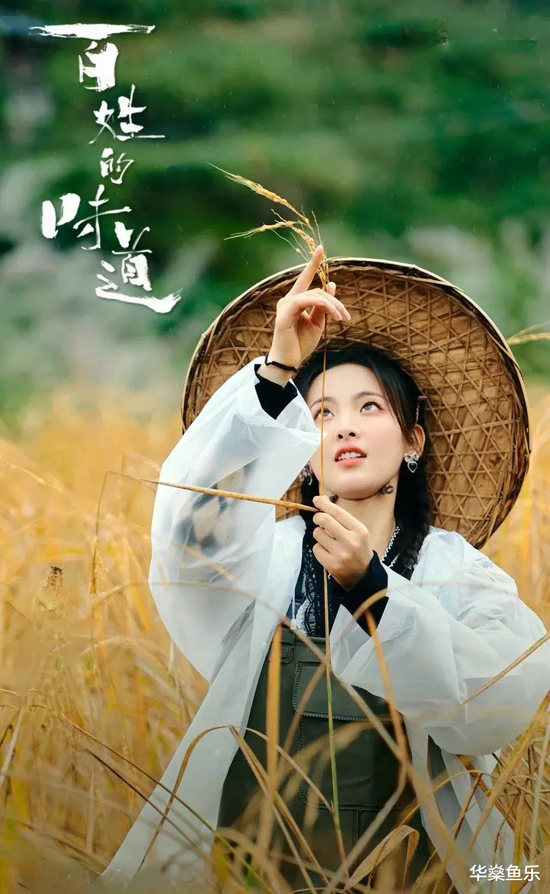 王力宏|吃瓜: 王力宏离婚真相？《百姓的味道》杨超越、杨幂、赵露思新剧