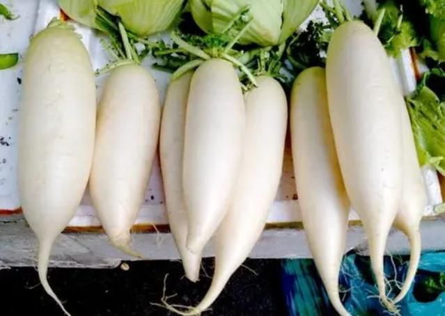 甲状腺|白萝卜营养价值高,医生提醒:3种人最好不要吃,会弄巧成拙