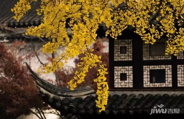 |秋日的中式庭院，一缕阳光，两个人，一壶茶，一盘棋，安静从容