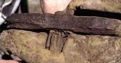 化石 地球上曾活过几代人类的证据