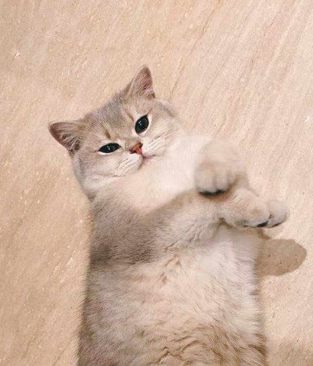 张雨绮|瓜：张艺兴与SM到期不续，签了国内染色体娱乐公司