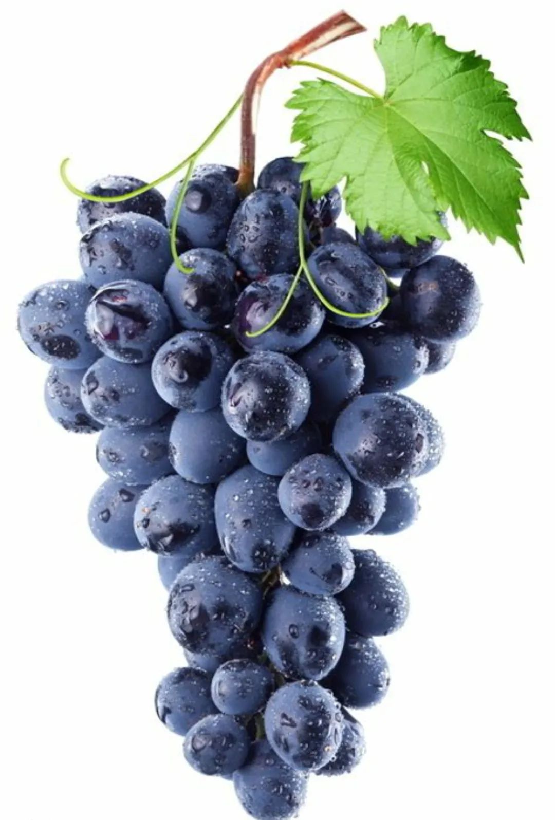 水果|水果营养价值排行（上）