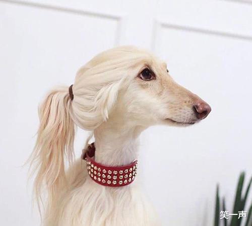 扎心|“原来好看的发型是需要颜值去支撑的，这个事实真的是太扎心了啊”哈哈哈哈