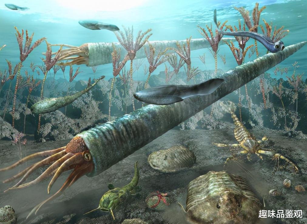 卫星 第6次生物大灭绝要来了？人类或无法抵挡，主要因素有5个