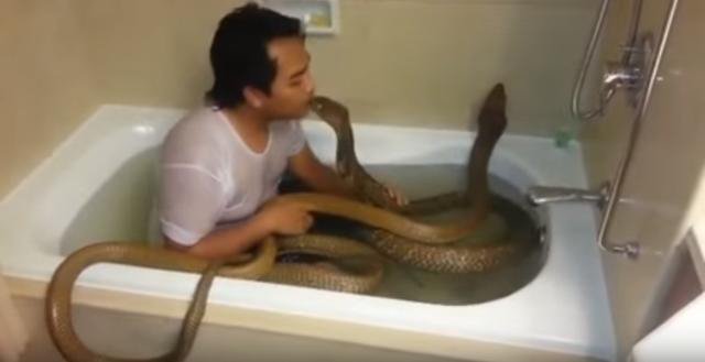 舜网 男子与眼镜蛇在一起泡澡,甚至玩起了亲亲……