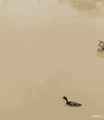 小宁说育儿|“有些人,即使是简化到这种程度了,依然能看出来这是什么”