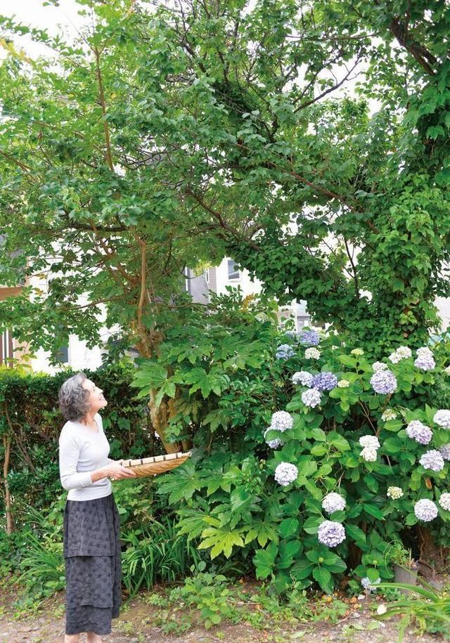 宝马3系|74岁的她，凭借自律，把“家庭主妇”这一职业，做到了极致