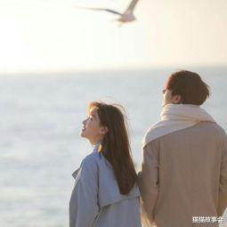 猫猫故事会|儿媳还没生，婆婆生了一对双胞胎小叔子，儿媳决定离婚